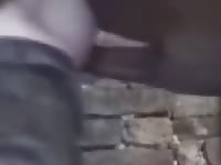 Horse Cumming In Butt Gay Beast Com - Animal Man