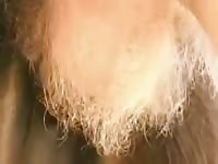 Horse Fucker Brothers GayBeast - Zoophilia Sex Movie With Man