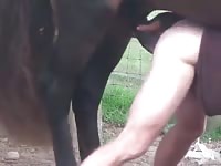 Horse Fucking Men GayBeast Rip - Dude Fucks Pet