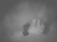 Horse Mount Man Fuck GayBeast Rip - Animal Boy