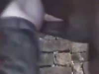 Horse On And In Man 1 GayBeast - Zoophilia Sex Video With Dude