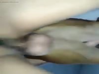 Hot Bich GayBeast Rip - Man Fucks Pet- Beastiality Porn With Men
