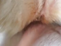 Hot German Shepherd Girl Gay Beast Com - Animal Man