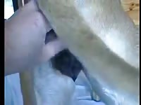 Dane Bitch Sex GayBeast - boy Fucks Pet