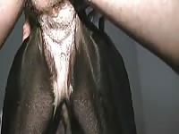 Dane Princess GayBeast.com - Animal Man