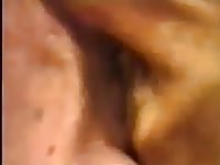 Dane Pussy 4 GayBeast - boy Fucks Animal
