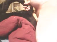 Deep Bitch Fuck GayBeast.com - Animal Men