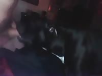 Deep Throat GayBeast - Bestiality Men