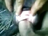 Deep Vaginal Dog Fuck GayBeast - Bestiality Man