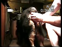 Dildo Up Dogs Ass Gay Beast Com - Man Fucks Animal