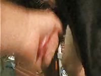 Doberman Anal Action GayBeast Rip - Animal Porn Movie With Men
