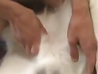 Docking Husky 2 GayBeast - boy Fucks Pet