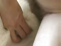Docking Other Husky Gay Beast Com - Bestiality Dude
