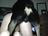 Dog 11 GayBeast.com - Zoophilia Dude