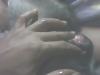 Dog 3 GayBeast.com - Dude Fucks Pet