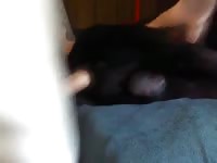 Dog 40 GayBeast Rip - boy Fucks Pet