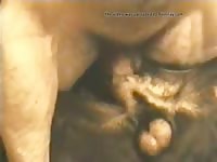 Dog Cockwarmer Rottweiller GayBeast.com - Beastiality Sex Tube With Men