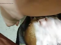 Dog Fuck 1 1 GayBeast Rip - Zoophilia Boy