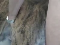 Dog Fuck 13 GayBeast.com - boy Fucks Animal