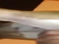 Dog Fuck 15 Gay Beast Com - Bestiality Men- Beastiality Dude