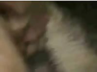 Dog Fuck 18 GayBeast - Bestiality Boy