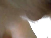 Dog Fuck 2 Gay Beast Com - Bestiality Men