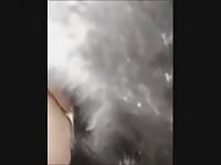 Dog Fuck Chub Bear Gay Beast Com - Zoophilia Porn Video With Boy