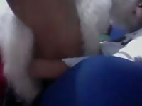 Dog Fuck Gay Boy 18 GayBeast - Beastiality Porn With Boy