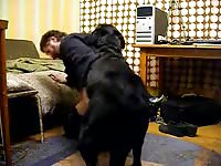 Dog Fuck Me 2 Gay Beast Com - Bestiality Porn Video With Boy