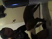 Dog Fucking Man In Hoody Gay Beast Com - boy Fucks Pet