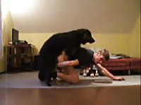 Dog Fucks Boy 3 GayBeast Rip - Beastiality Sex Movie With Man