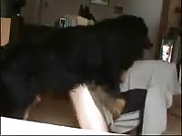 Dog Fucks Young Boy2