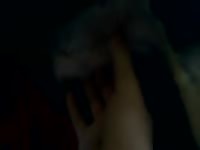 Dog Jerking GayBeast - Dude Fucks Pet