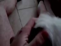 Dog Lick Cock 3 GayBeast.com - boy Fucks Animal