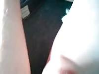 Dog Lick Cock 4 GayBeast.com - Dude Fucks Pet