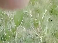 Dog Lick Cock Outside Gay Beast Com - Zoophilia Porn Video With Man