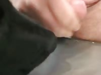 Dog Lick Penis GayBeast.com - Bestiality Sex Movie With Dude