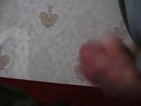Dog Lick Sperm