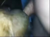 Dog Licking Nice Cock GayBeast Rip - Zoophilia Sex Video With Men