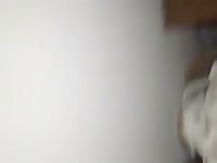 Dog Licks Big Cock Gay Beast Com - Bestiality Dude