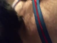 Dog Licks Hairy Hole 1 GayBeast.com - Men Fucks Animal(2)