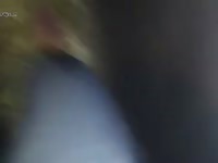 Dog Licks Mare Pussy GayBeast - Animal Porn Movie With Men