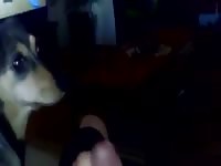 Dog Makeout GayBeast.com - Men Fucks Pet