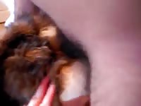 Dog Plush GayBeast Rip - Zoophilia Men