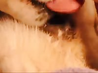 Dog Pussy GayBeast Rip - boy Fucks Animal
