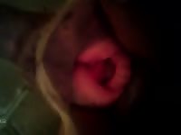 Dog Pussy Orgasm GayBeast - Beastiality Man