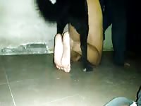 Dog Rides Me And Cum Inside GayBeast Rip - Men Fucks Animal
