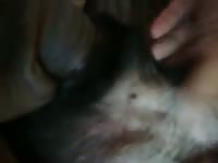 Dog Sheath Fucked GayBeast - Dude Fucks Pet