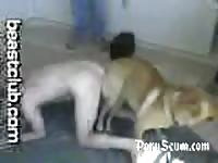 Dog Zoo Sex Guy Knots With Dog And Is Dragged Around The Room