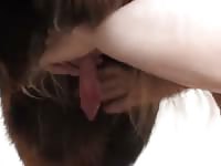Dogg 2 GayBeast.com - Bestiality Porn Movie With Boy